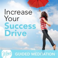 Increase Your Success Drive by Applebaum, Amy